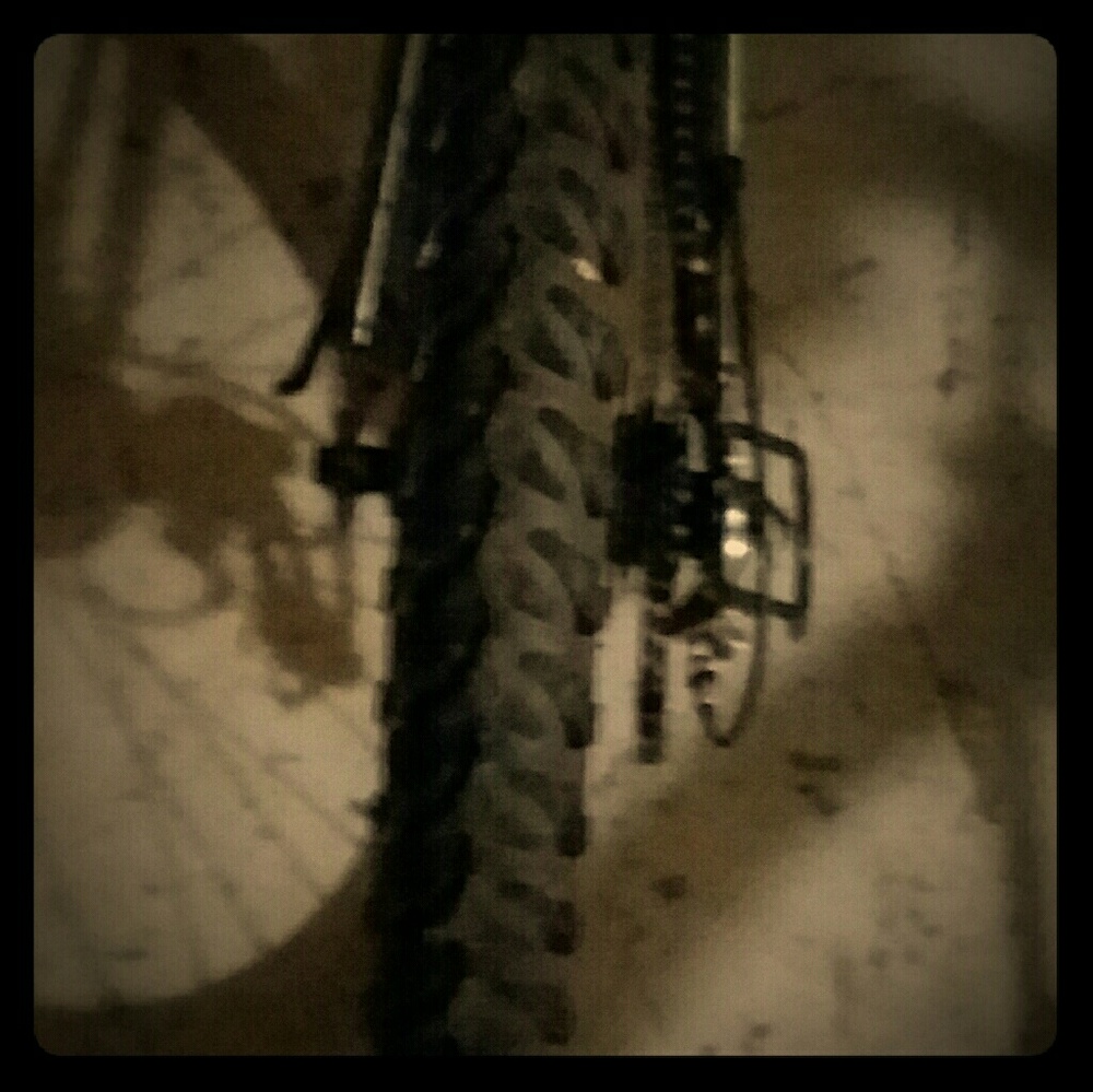 Next mountain bike